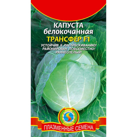 Капуста Трансфер Плазма Ц
