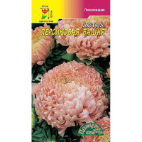 Астра Башня Персиковая пионовидная ЦветСад Ц