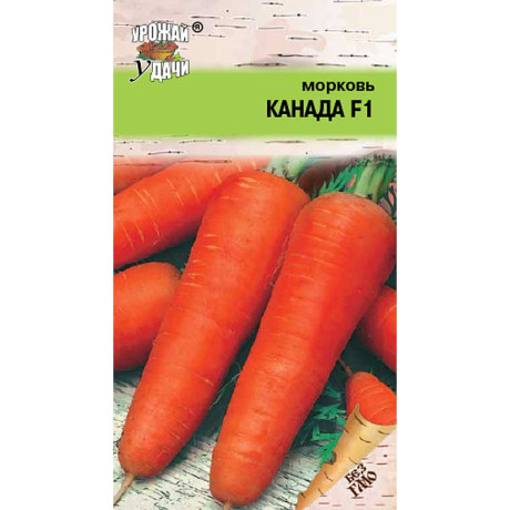 Морковь Канада Урожай у дачи Ц