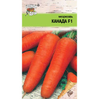 Морковь Канада Урожай у дачи Ц