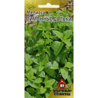 Мелисса Лимонные дольки лекарственная Удачные Семена Гавриш Ц
