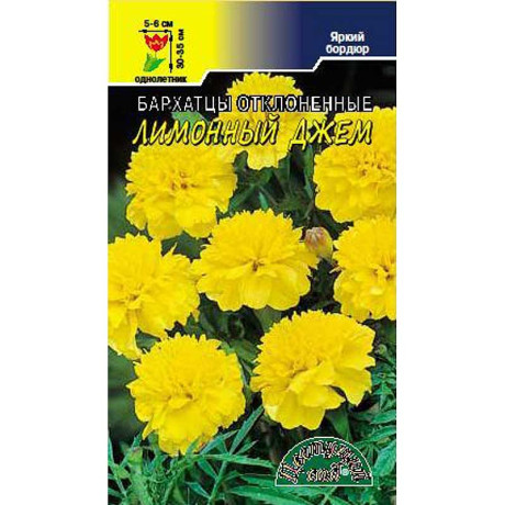 Бархатцы Лимонный джем ЦветСад Ц