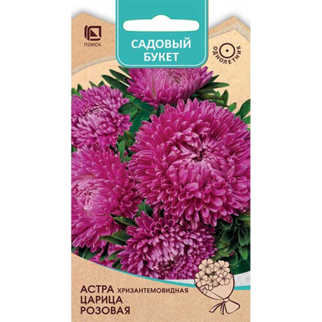 Астра Царица Розовая Поиск Ц