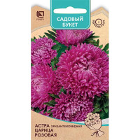 Астра Царица Розовая Поиск Ц