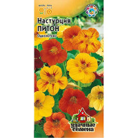 Настурция Питон (метал) Гавриш Ц