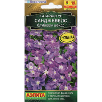 Катарантус Санджевелс блуберри шейдс Аэлита