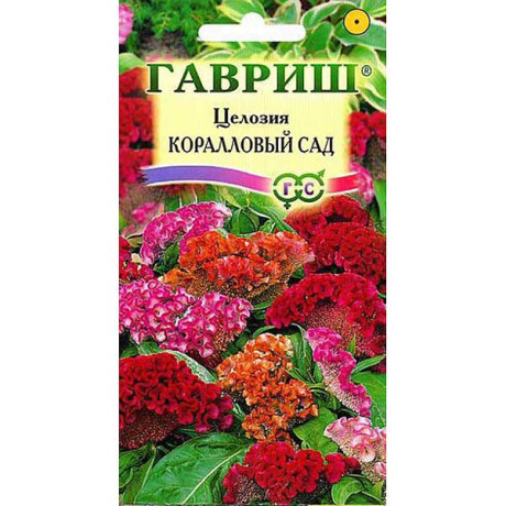 Целозия Коралловый сад Гавриш Ц