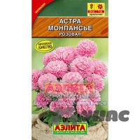 Астра Монпансье розовая Аэлита Ц