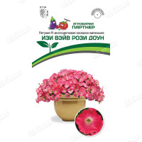 Петуния Изи Вэйв Рози Доун Партнер Ц