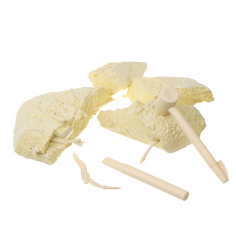 Набор для творчества 2в1 раскраска и раскопки "Динозавры", 39,5х26х7,5см, гипс, PP, 2 диз.