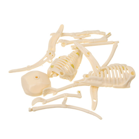 Набор для творчества 2в1 раскраска и раскопки "Динозавры", 39,5х26х7,5см, гипс, PP, 2 диз.