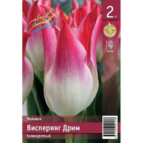 Тюльпан Висперинг Дрим 11/12 2 шт