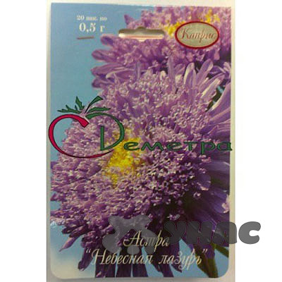 К Астра Небесная лазурь Каприс