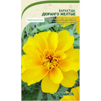 Бархатцы Дюранго Желтые 15шт PanAmerican/Садовита Ц