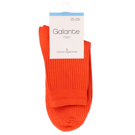 GALANTE Носки мужские р.27-29, 85% хлопок,10% полиэстер, 5% спандекс, 6 цв, НС22-04