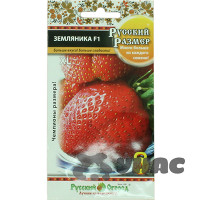 Земляника Русский Размер НК Ц