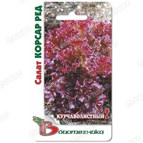 Салат Корсар Ред Биотехника Ц