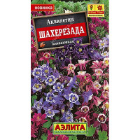 Аквилегия Шахерезада Аэлита Ц