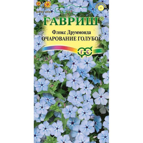 Флокс Друммонда Очарование голубое Гавриш Ц