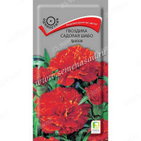 Гвоздика Шабо Красная Поиск Ц