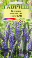 Вероника колосистая голубая Гавриш Ц