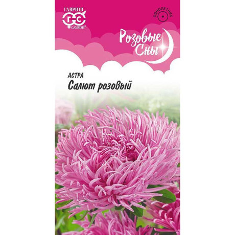 Астра Салют розовый Гавриш Ц