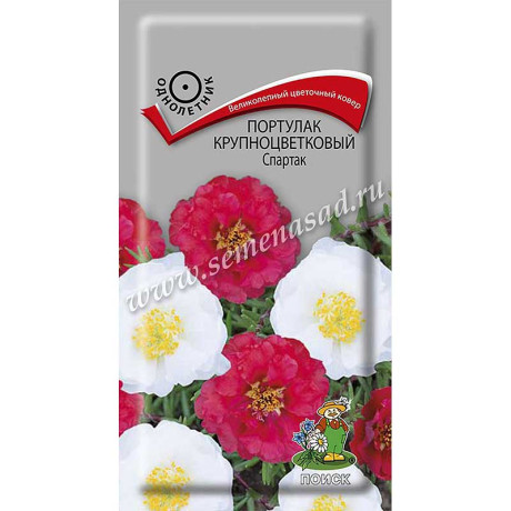 Портулак Спартак Поиск Ц