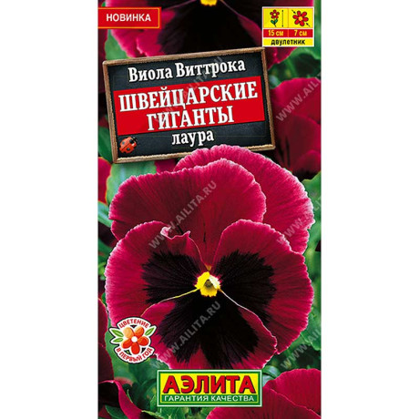 Виола Швейцарские гиганты лаура Аэлита Цх10