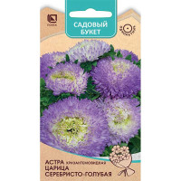 Астра Царица Серебристо-голубая Поиск Ц