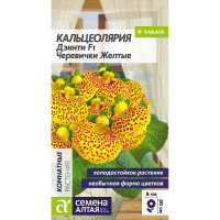 Кальцеолярия Дэинти Черевички желтые СемАлт Ц