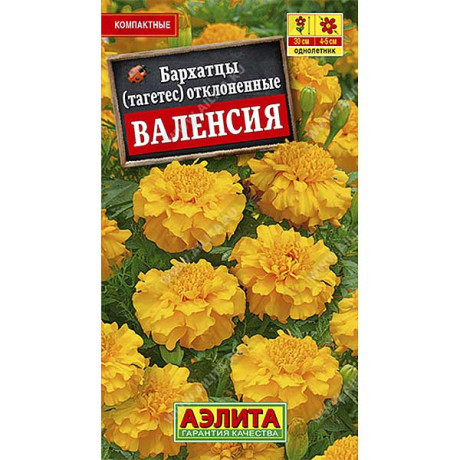 Бархатцы Валенсия отклоненные Аэлита Ц