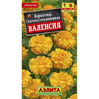 Бархатцы Валенсия отклоненные Аэлита Ц