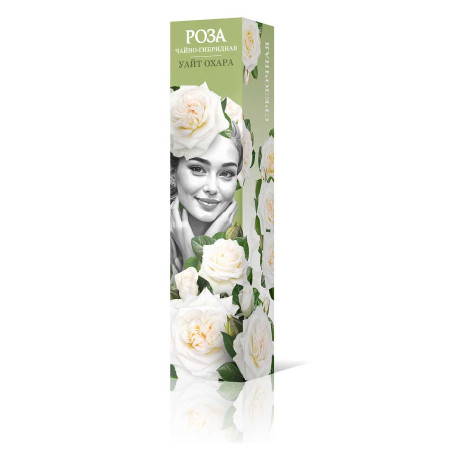 Роза чайно-гибридная Уайт Охара Садовита