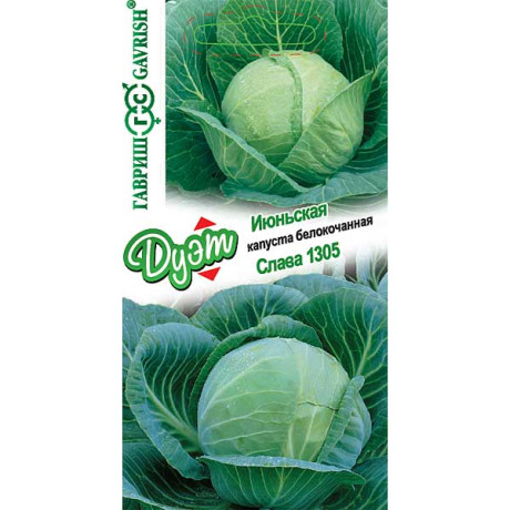Капуста Дуэт Июньская белокач +Слава Гавриш Ц