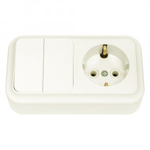 Bylectrica ПРАЛЕСКА Блок (2 выкл. + роз земля) ОУ беж., (2В-РЦ-529 беж.)