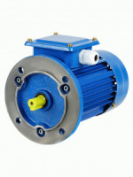 TDM электродвигатель АИР 100L4 4 кВт 1500 об/мин 3081 (фланец) SQ3001-0117