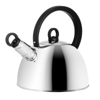 Чайник стальной 2.5л &quot;Кампо&quot; индукция