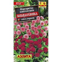 Маргаритка Большая кнопка Аэлита Ц