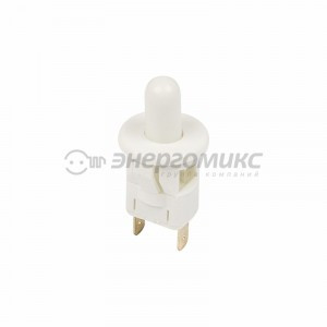 REXANT выкл-кнопка 250V 2.5А (2с) ON-(OFF) Б/Фикс бел (PBS-19С2)(мебельн.) цена за шт (10!),36-3021