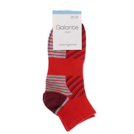 GALANTE Носки мужские спорт р.25-29, 85% хлопок,10% полиэстер, 5% спандекс, 4 цв, НС22-05