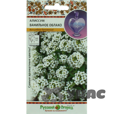 Алиссум Ванильное облако НК Ц