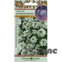 Алиссум Ванильное облако НК Ц