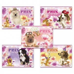 Альбом д/рисования, 24 л., HATBER, обл. мелов.  картон, 100 г/м2, "Любимцы" (5 видов), 24А4В A090770