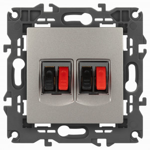 ЭРА Elegance мех. роз. СУ 2 мест. аудио  титан 14-3112-16 65774