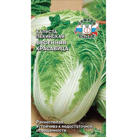 Капуста Весенняя Красавица пекинская Седек Ц