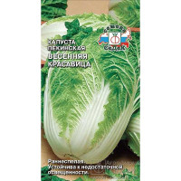 Капуста Весенняя Красавица пекинская Седек Ц