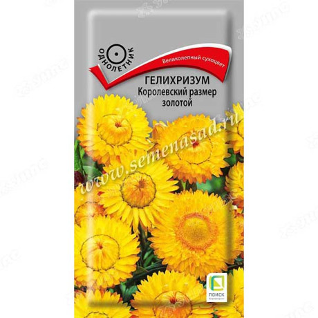 Гелихризум Королевский размер золотой Поиск Ц