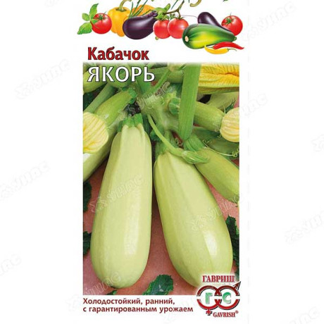 Кабачок Якорь Гавриш Ц