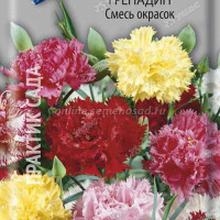 Гвоздика Гренадин смесь Поиск Ц