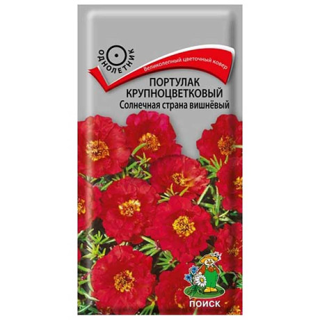 Портулак Солнечная страна вишневый Поиск Ц